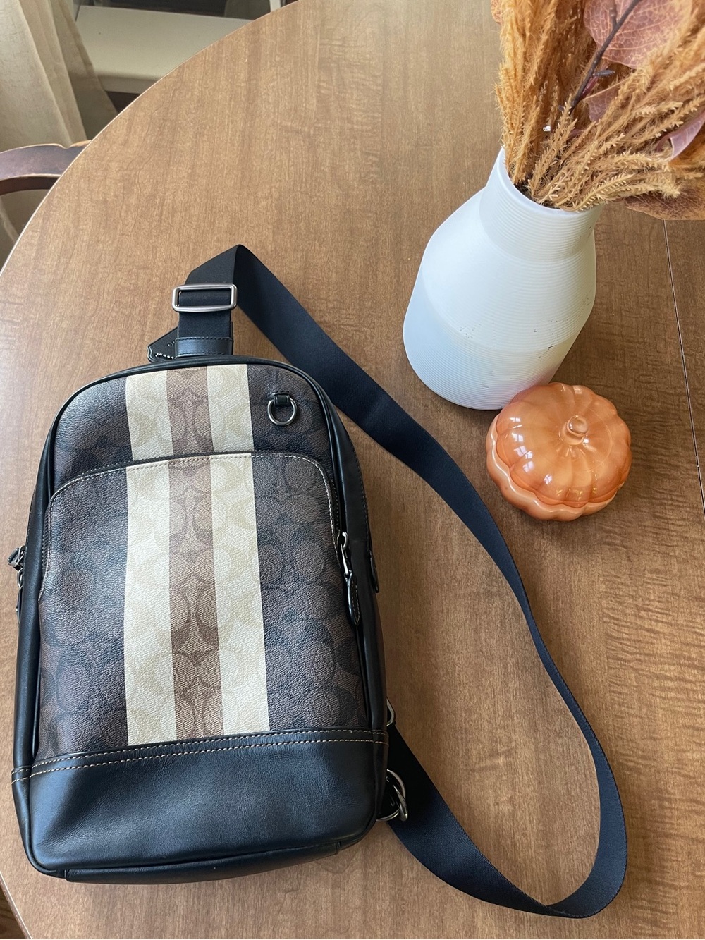 Coach signature graham backpack Sling Bag